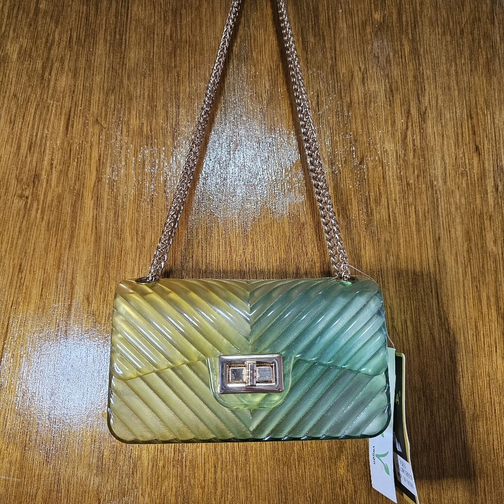Jelly Blue Green Ombre Purse Chain Strap Caleesa